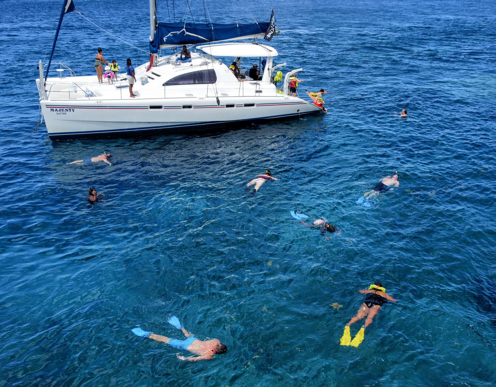 Guests snorkeling beside the Majesty catamaran